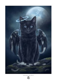 a black cat with angel wings sitting on top of a rock in front of a full moon