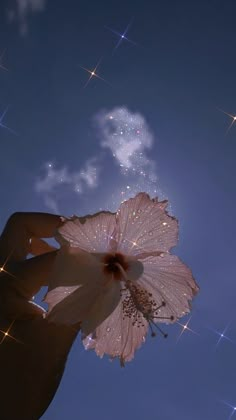 a person holding a flower in front of the sky with stars on it's sides