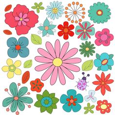 a bunch of flowers that are in the shape of a circle on a white background