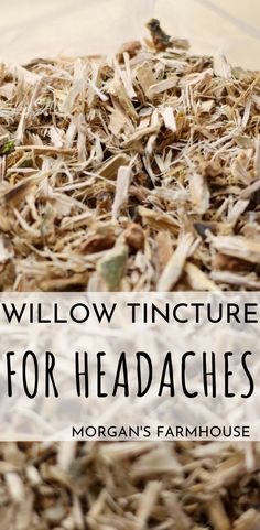 Best Tinctures To Have On Hand, Fig Leaf Tincture, Headache Tincture, Tinctures For Beginners, White Willow Bark Tincture, Willow Bark Tincture, Homemade Tinctures, Willow Bark Tea, Usnea Tincture