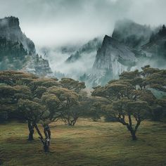 the mountains are covered in fog and low lying clouds, with trees on either side