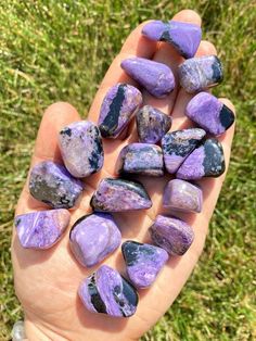 a hand holding several purple and black rocks in it's left palm, with grass in the background