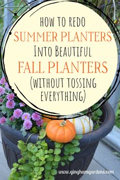 a potted plant with flowers and pumpkins in it that says how to redo summer plants into beautiful fall planting without tossing everything