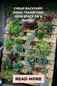 a wooden pallet with plants growing on it and the words cheap backyard ideas transform your space on a budget read more