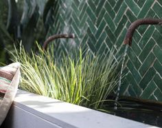 a close up of a water fountain with plants in the background