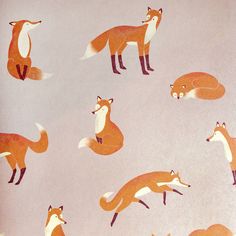 sample friendly foxes rose wallpaper from the great kids collection by galerie wallcoverings 1 Foxes Wallpaper, Friendly Fox, Boy Styles, Typical Girl, The Division, Wallpaper Rolls, Reaching For The Stars, Wallpaper Calculator, Kids Collection