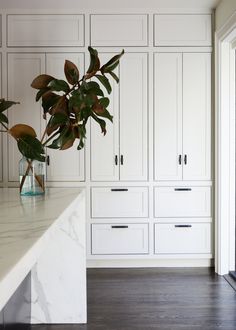 a plant in a vase sitting on top of a counter next to white cupboards