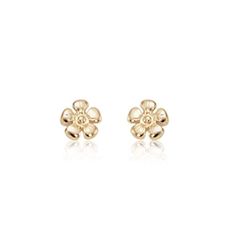 Carla Daisy Stud - 14K Yellow Gold Earrings 14K Yellow Gold Small Daisy Flower Earrings Measures: 0.265 inch wide x 0.265 inch long Jewelry Type: Stud Earrings, Daisy Earrings Metal: 14K Yellow Gold Made in the USA with a Lifetime Guarantee Carla Daisy Stud Earrings Rose Gold 14k Gold Flower Earrings, Yellow Gold Flower Earrings In 14k, Classic Yellow Gold Flower Earrings For Pierced Ears, Classic Yellow Gold Flower Earrings, Dainty Yellow Gold Flower Earrings For Formal Occasions, 14k White Gold Flower-shaped Earrings, Classic 14k Gold Flower-shaped Earrings, Classic 14k Gold Flower Earrings, Daisy Studs