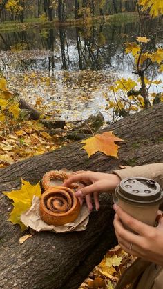 a person holding a coffee cup next to a donut on a log near a river