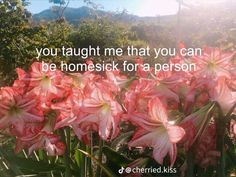 some pink flowers with a quote on the top saying, you taught me that you can be homesick for a person