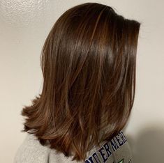 Dark Chestnut Brown Hair Short, Charlotte York Short Hair, Short Thick Brown Hair Layered Haircuts, Mid Length Hair Light Brown, Charlotte York Haircut, Golden Brown Hair Short, Chestnut Brown Hair Short, Short Golden Brown Hair, Light Brown Long Bob