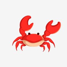 a red crab on a white background