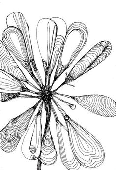 a drawing of a flower that is in black and white