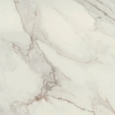 Daltile - Famed 24 in. x 24 in. Colorbody Porcelain Tile - Diamond Matte River Marble Daltile, Daltile Mesmerize Bathroom, Topps Tiles Porcelain, Daltile Calacatta Porcelain, Daltile Costar Calcutta Sky, Sparkling Clean, Wall Installation, Flooring Options, Tile Samples