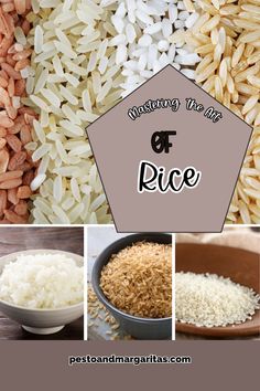 rice is the most important food for many people, and it's not hard to tell