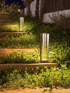 some lights that are in the grass near steps and bushes on a sidewalk at night