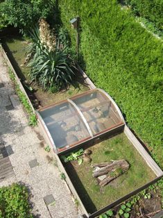 an aerial view of a small garden with plants and rocks in the ground, including a greenhouse