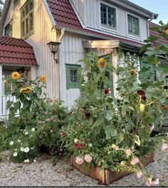 a house with many flowers in front of it and a lot of plants growing outside