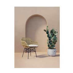 a chair next to a potted plant on a table