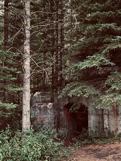 an old, run down tunnel in the middle of a forest with trees around it