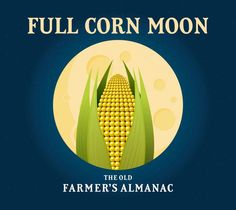 the old farmer's almanacc logo is shown in front of a full moon