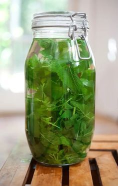 a jar filled with green leaves on top of a wooden table