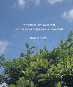 a tree with some leaves and a sky in the background that says to choose love over fear, is to be more courageous than most