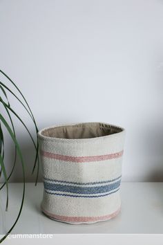 a potted plant sitting on top of a white table next to a striped basket