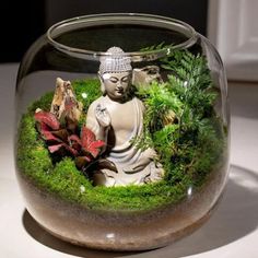 a glass bowl filled with plants and a buddha statue