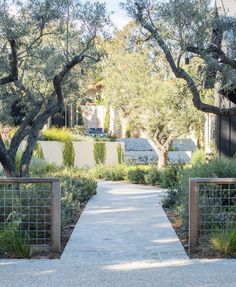 a walkway between two trees leading to a house