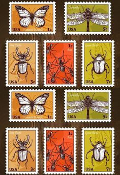 stamps with bugs and insects on them, all in different colorways photo - free stock photo