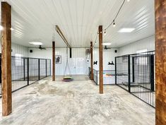 the inside of a dog kennel with lots of caged in animals on display