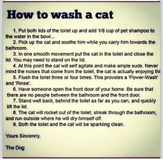 a poem describing how to wash a cat in the bathroom with instructions for washing and grooming