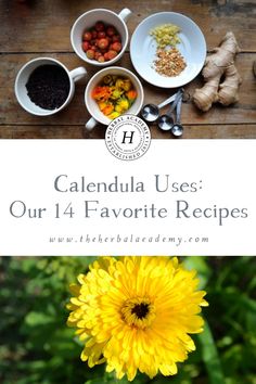 calendula uses our 4 favorite recipes for your garden or herb garden, including sunflowers and herbs