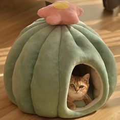 a cat sitting in a green ball shaped bed