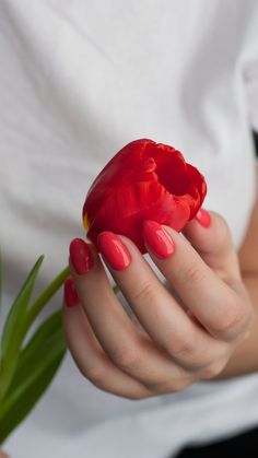 Nails Photoshoot, Hairstylist Career, French Quote, Fun Nail Colors, Nail Salon Design, Fall Nail Trends, Dramatic Style, Nail Photos, Nails French