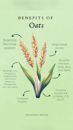 the benefits of oats for hair and skin