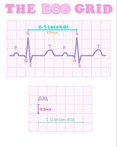 Cardiology Medical Assistant, Cardiology Nurse Practitioner, Cardiac Technician, Ekg Technician Aesthetic, Pa School Aesthetic, Ekg Notes, Medical Notes Aesthetic, Medical Assistant Aesthetic