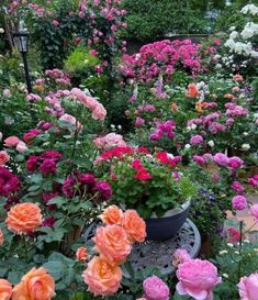 many different types of flowers are in the garden and one is full of pink, white and red roses