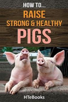 How To Raise Strong & Healthy Pigs: Quick Start Guide by Htebooks Pig Pen, Quick Start Guide, Future Farms, Hobby Farm, Pet Pigs