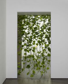 an open window with green plants growing on it