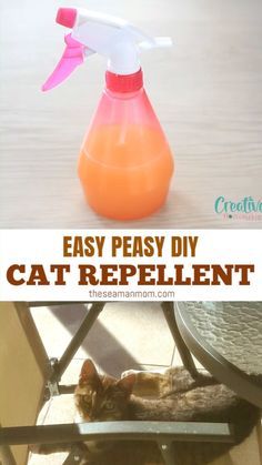 an easy diy cat repellent that is great for cats to use in the house