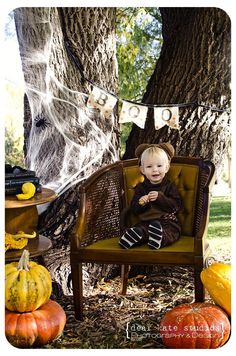 a little boy sitting on a chair in front of a tree and some pumpkins