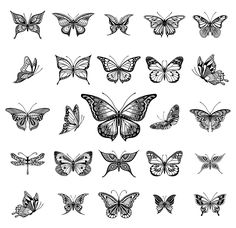 a collection of butterflies in black and white - animals characters