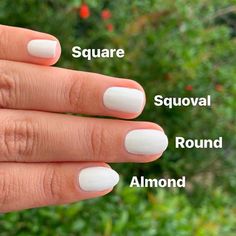 Squoval Acrylic Nails, Square Oval Nails, Nail Shaping, Natural Nail Shapes, Nail Shapes Squoval, Short Oval Nails, Oval Shaped Nails, Acrylic Nail Shapes, Squoval Nails