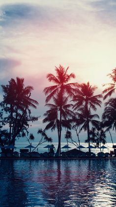 the sun is setting behind some palm trees on the water in front of an ocean