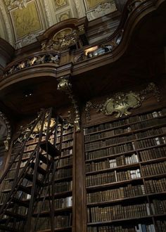 an old library with many books on it