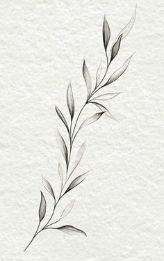 Olive Branch Tattoo, Leaf Tattoo, Branch Tattoo, Plant Tattoo