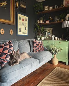 a cat laying on top of a blue couch in a living room next to a green dresser