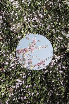 a round mirror sitting in the middle of some grass with pink flowers on it's side